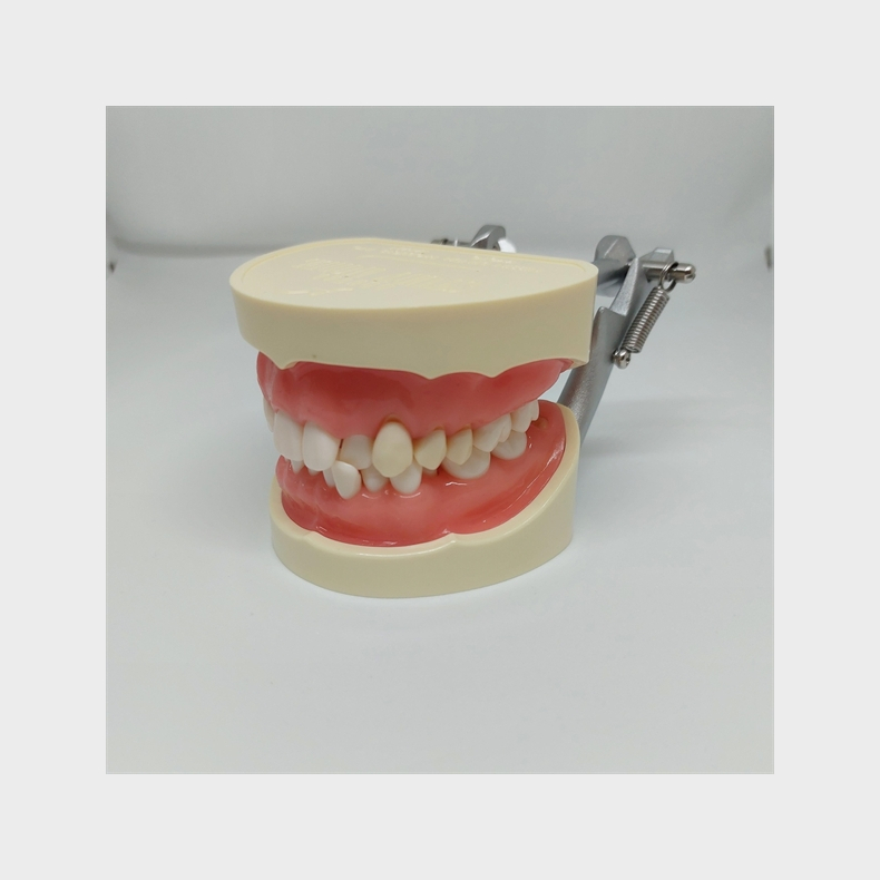 Instruktionsmodel til Tandbrstning 